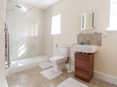 A bathroom with a shower, toilet, sink with cabinet, mirror, and two windows at Sewin Cottage in Golden Grove near Llandeilo