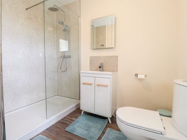 A bathroom with a shower enclosure a vanity unit with a sink a toilet and blue rugs on a wooden floor at Sewin Cottage Golden Grove near Llandeilo