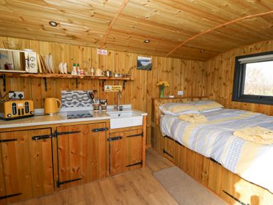 A wooden room with a small kitchen area and a bed with striped bedding at Elan in Rhayader