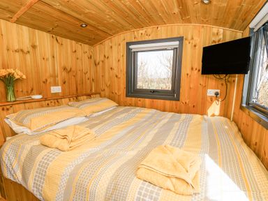 A bedroom with a bed covered in striped bedding and towels with wooden walls windows and a TV at Elan in Rhayader