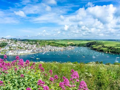 A harbor with boats in the water surrounded by houses green hills and flowers in the foreground at The Penthouse in Salcombe