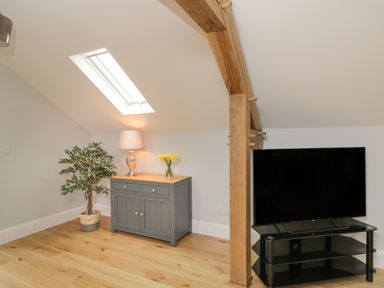 A room with a TV on a black stand a wooden cabinet with a lamp and flowers and a potted plant at Lugg View in Cross Keys near Hereford