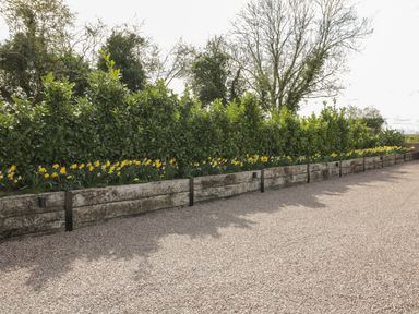 A gravel area with a wooden planter containing yellow flowers and green bushes at Lugg View in Cross Keys near Hereford