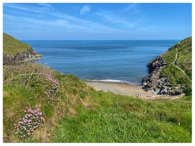 A beach with grassy cliffs and a path along the rocks at Dolwylan Barn in Cwmtydu near New Quay