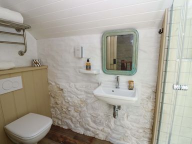 A bathroom with a toilet and sink at Dolwylan Barn Cwmtydu near New Quay