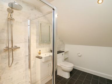A bathroom with a glass shower enclosure a toilet and a sink with a mirror at Ty Ni in New Quay