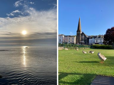 A boat on calm water under a cloudy sky and a group of geese on grass with buildings and a church in the background at The Yellow House 13 King Street Dawlish
