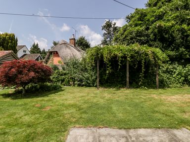 A garden with a small tree a wooden pergola covered in vines and a thatched cottage in the background at Oakapple Cottage in Swan Green near Lyndhurst