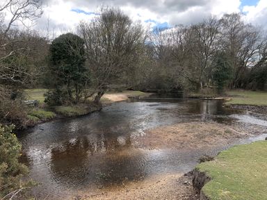A shallow river with grassy banks and leafless trees under a partly cloudy sky at Oakapple Cottage in Swan Green near Lyndhurst