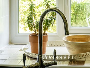 A kitchen with a faucet and a plant in a pot at Tyn Y Ffynnon in Betws-Y-Coed