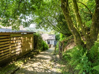 A pathway leading to a house with trees and a fence at Tyn Y Ffynnon in Betws-Y-Coed