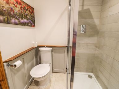 A bathroom with a toilet and a shower with tiled walls at Greystones Chapel in Cwm-y-Glo near Llanrug