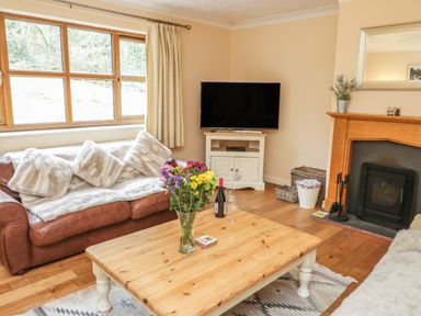 A living room with a leather sofa, a wooden coffee table with flowers, a television on a white stand and a fireplace at Bryn Elsi in Betws-Y-Coed