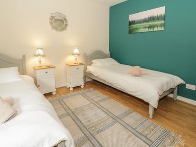 A bedroom with two single beds two bedside tables with lamps a patterned rug and a landscape painting at Bryn Elsi in Betws-Y-Coed