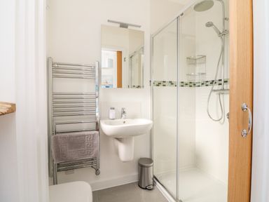 A bathroom with a sink a mirror a towel rack a towel a shower enclosure and a trash can at Seaquel Westward Ho