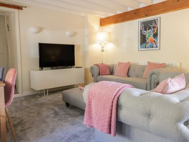 A living room with a gray sofa and pink cushions a television on a white cabinet and a colorful deer painting on the wall at The Old Smithy Cottage in Maentwrog near Penrhyndeudraeth