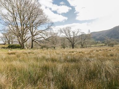 A grassy field with leafless trees and hills in the background at The Old Smithy Cottage in Maentwrog near Penrhyndeudraeth