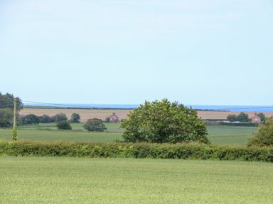A rural landscape with fields trees power lines and houses in the distance at Spinneys Den in Knapton