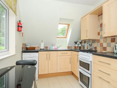 A kitchen with light wood cabinets black countertops a white stove a dishwasher and a window at Dart Lodge in Callington