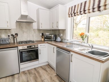 A kitchen with white cabinets a gas stove an oven a microwave a toaster a kettle a dish rack and a window with flowers on the counter at Dove Lodge in Highampton near Sheepwash