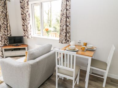 A dining table set for two with chairs beside a gray sofa and a small TV on a wooden stand near a window at Dove Lodge in Highampton near Sheepwash
