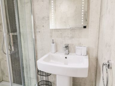 A bathroom with a glass shower enclosure a white sink with a faucet soap dispenser a mirror and a towel ring at Dove Lodge in Highampton near Sheepwash