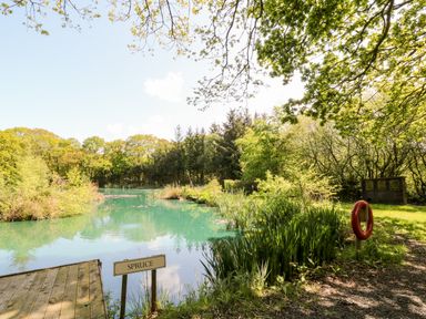 A pond surrounded by trees and plants with a wooden platform and a lifebuoy at Dove Lodge in Highampton near Sheepwash