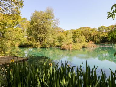 A pond surrounded by trees and plants with a wooden platform at Dove Lodge in Highampton near Sheepwash