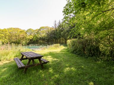A wooden picnic table on grass near a pond surrounded by trees at Dove Lodge in Highampton near Sheepwash