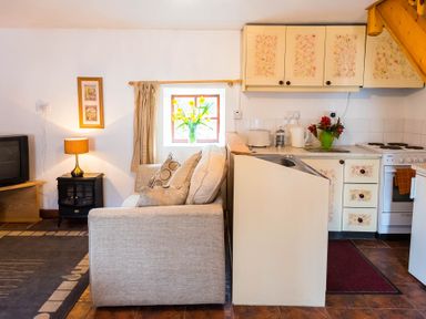 A small living room with a beige sofa, lamp on a side table, TV on a wooden stand, and a kitchen with cabinets and appliances at The Stable in Fethard-On-Sea County Wexford