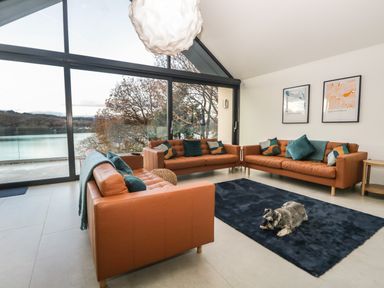 A living room with three brown sofas and a dog lying on a dark rug at Kessock in Bowness-On-Windermere