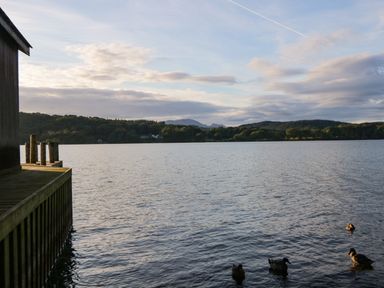 A lake with four ducks swimming near a wooden dock and trees in the background at Kessock in Bowness-On-Windermere