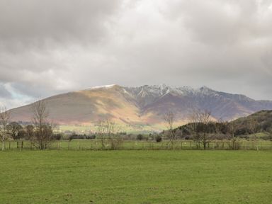 A grassy field with scattered trees and a fenced area with mountains in the background under a cloudy sky at Sparrow Cottage in Keswick