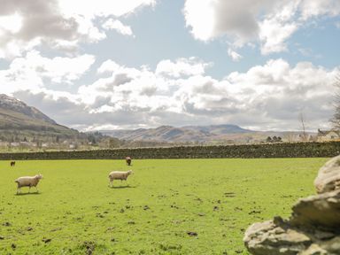 A grassy field with sheep and a stone wall with hills in the background at Sparrow Cottage in Keswick