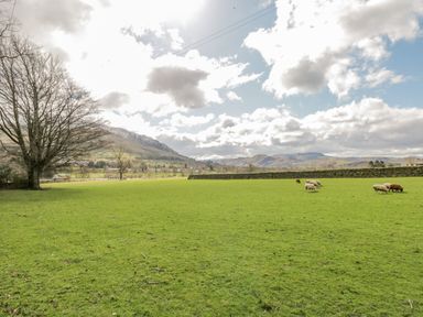 A green field with sheep grazing with mountains and a stone wall in the background at Sparrow Cottage in Keswick