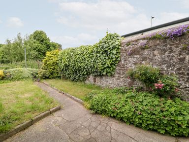 A garden with a cracked concrete path grass plants bushes and a stone wall with purple flowers at Daisy Cottage in Bideford