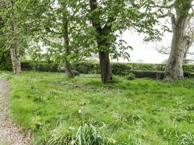A garden area with grass trees and shrubs next to a gravel path at Chestnut Cottage in Filey