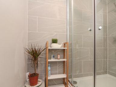 A bathroom with a potted plant shelf and a glass shower enclosure at Chestnut Cottage in Filey