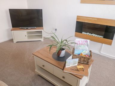 A living room with a television on a wooden stand a wooden coffee table with a plant a basket of magazines and a guestbook on a carpeted floor at Rose Cottage in Marldon