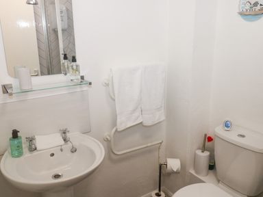 A small bathroom with a sink mirror towel rail toilet and toilet brush at Rose Cottage in Marldon