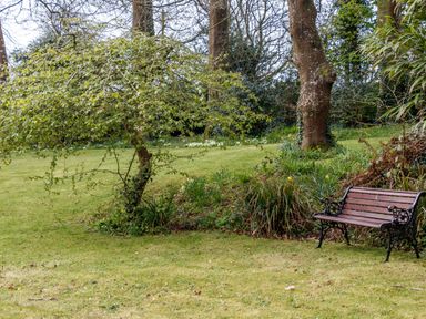 A garden with a wooden bench next to trees and grass at The Old Vicarage Retreat in Luxulyan
