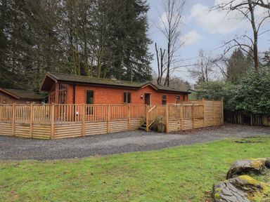 A wooden cabin with a fenced porch surrounded by trees and grass at Oakwood Lodge Langdale 3 White Cross Bay Windermere