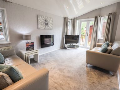 A living room with two sofas a wall-mounted fireplace a television and a side table with a lamp at Buttermere Lodge Glade 5 Fallbarrow Park near Bowness on Windermere
