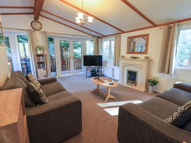 A living room with two sofas a coffee table a television and a fireplace at Walkers Retreat Lodge Fellside 5 Limefitt Park near Windermere