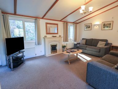 A living room with two sofas a coffee table a TV on a stand and a fireplace at Walkers Retreat Lodge Fellside 5 Limefitt Park near Windermere