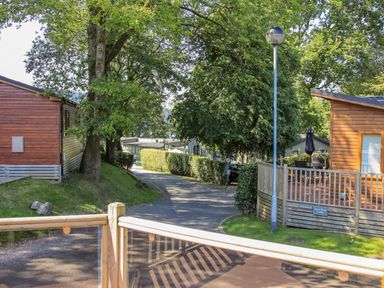 A pathway lined with wooden lodges and trees at Daffodils Lodge Oakside 7 Fallbarrow Park in Bowness on Windermere
