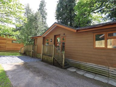 A wooden cabin with a small porch and steps surrounded by trees at Forest Pines Lodge in Beech Hill 10 Fallbarrow Park near Bowness on Windermere