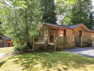 A wooden lodge with a deck surrounded by trees and grass at Forest Pines Lodge Beech Hill 10 Fallbarrow Park near Bowness on Windermere