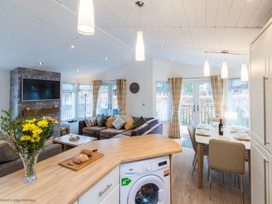 An open living area with a sofa, dining table, washing machine, and flowers on a counter at Broad Larch Lodge in Glade 16 Fallbarrow Park near Bowness on Windermere