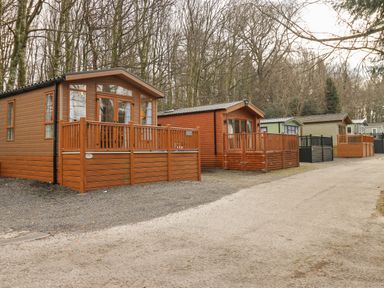 A row of wooden caravans with porches by a gravel road in a wooded area at Squirrels Snug in Pony Meadow 1 White Cross Bay near Windermere